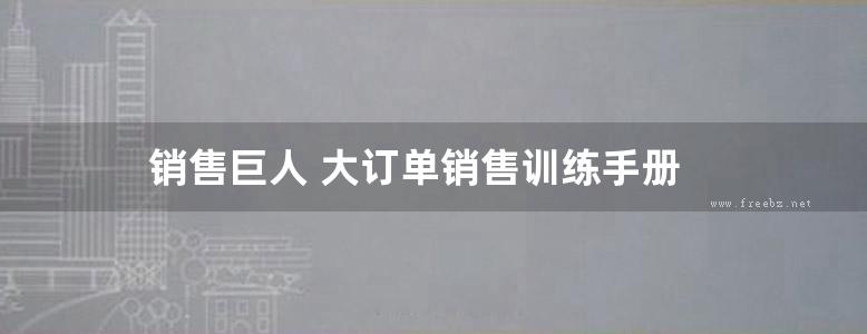 销售巨人 大订单销售训练手册